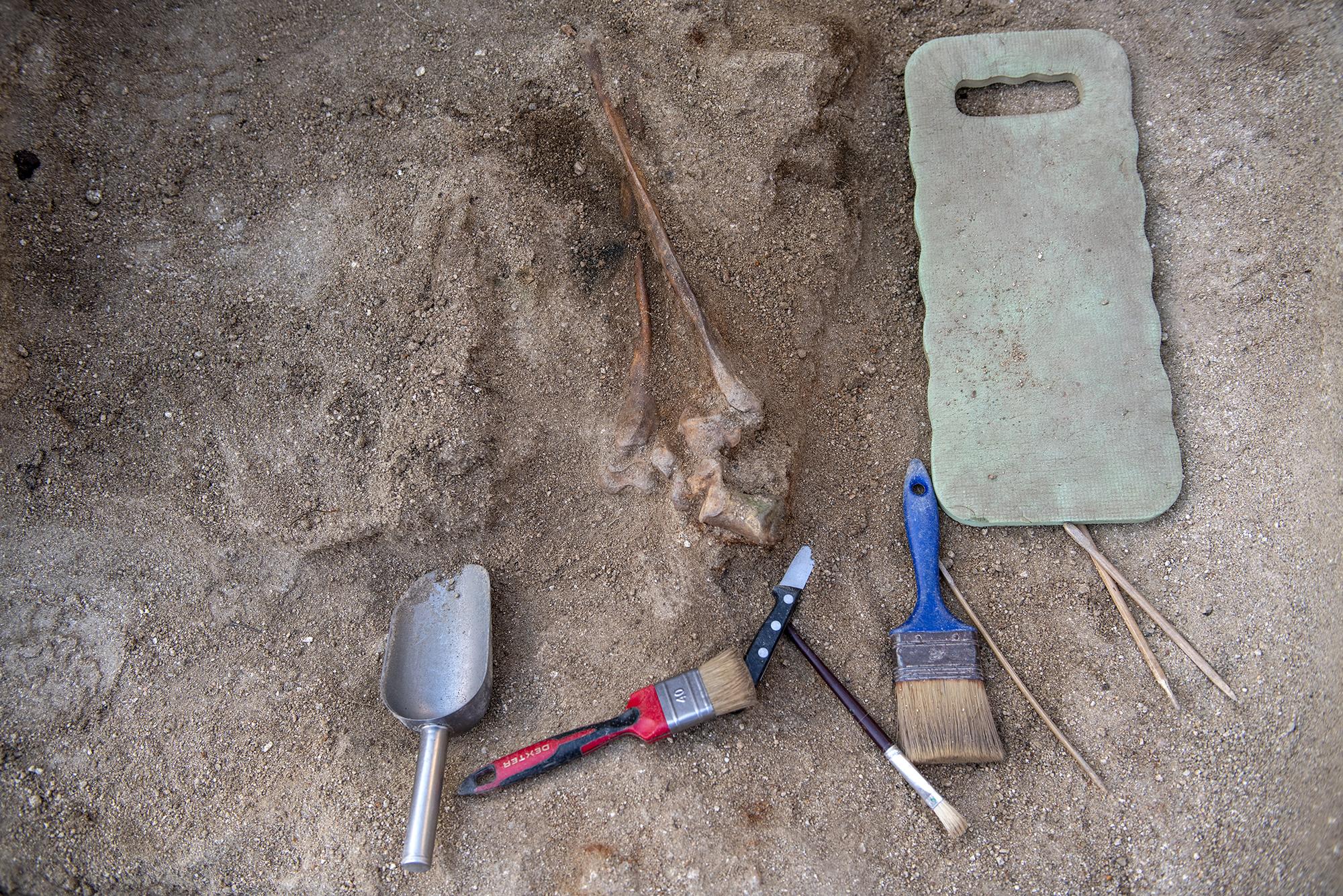 Exhumación batalla de Brunete - 5